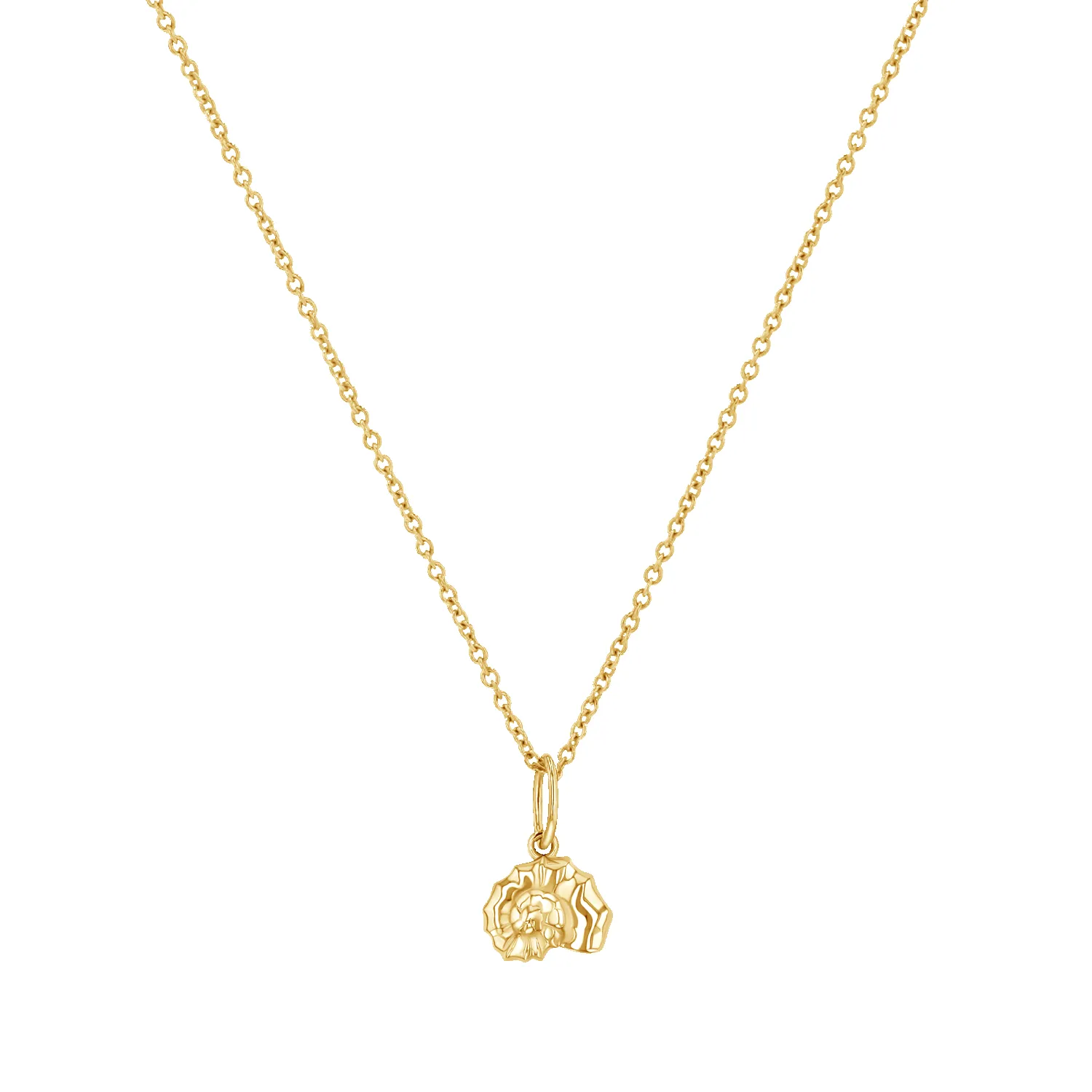 Soleil Nautilus Seashell Charm sold by Baby Gold product image thumbnail 4