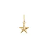 Soleil Star Seashell Charm sold by Baby Gold