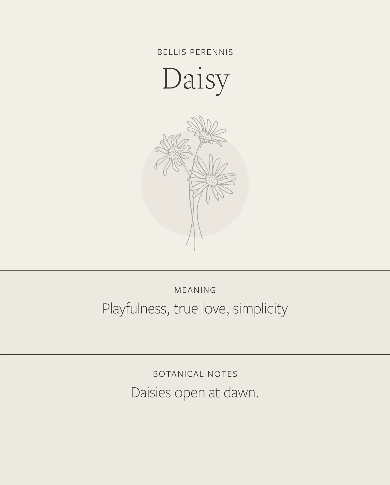 Daisy Necklace sold by GLDN product image thumbnail 4