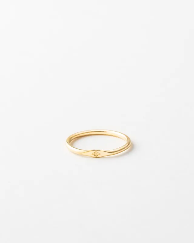 Stellar Signet - 14k Solid Gold sold by GLDN