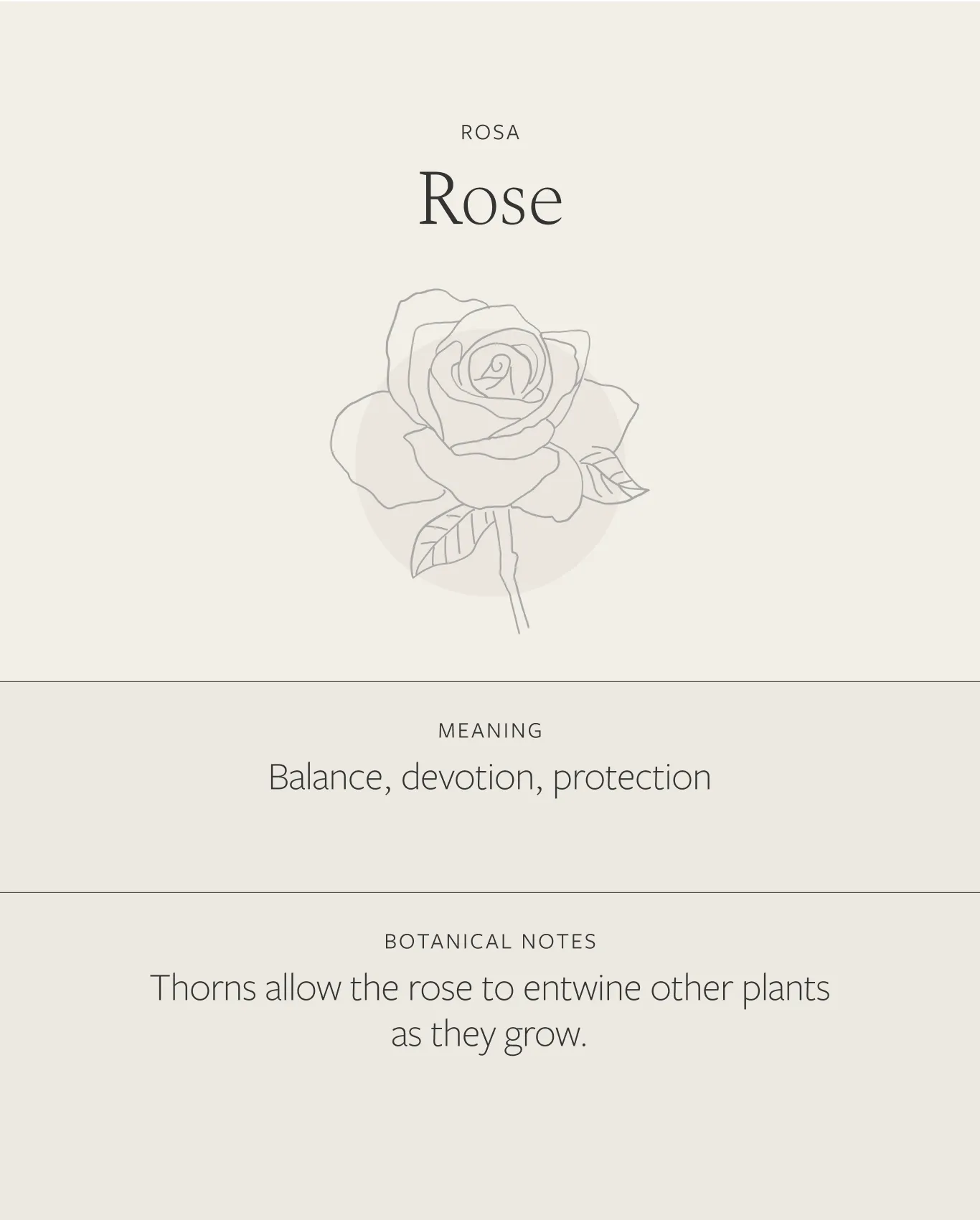 Rose Necklace sold by GLDN product image thumbnail 3