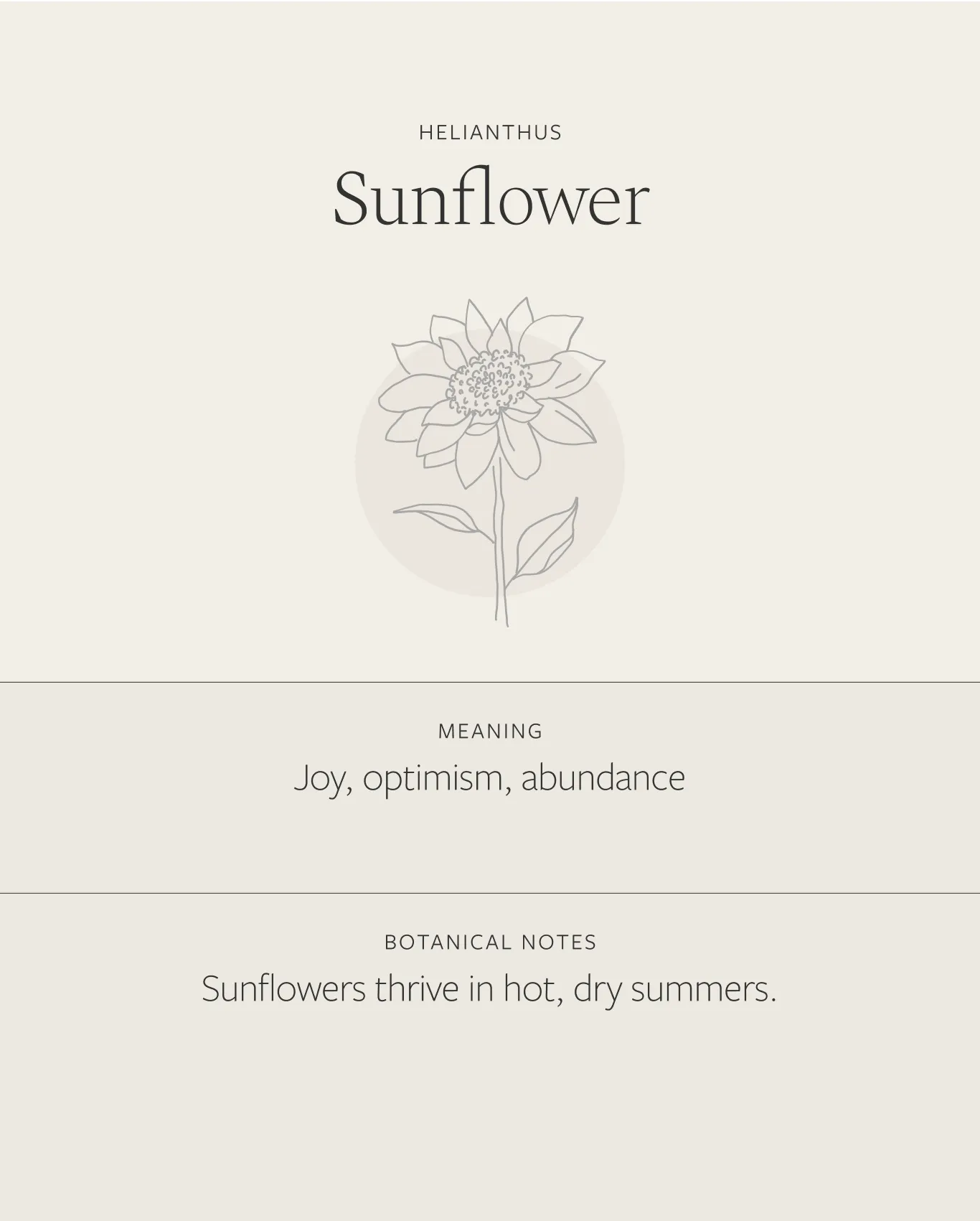 Sunflower Necklace sold by GLDN product image thumbnail 4