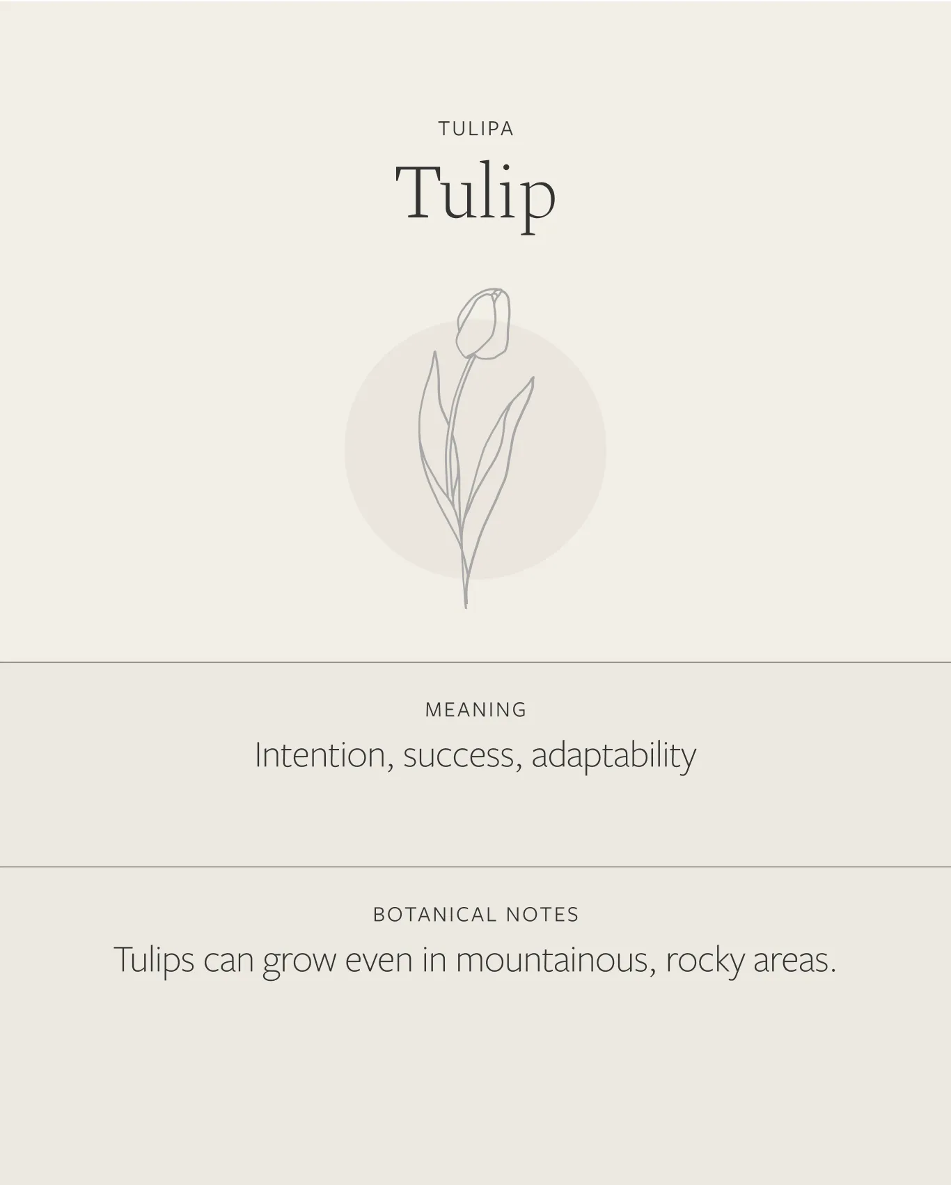 Tulip Necklace sold by GLDN product image thumbnail 3