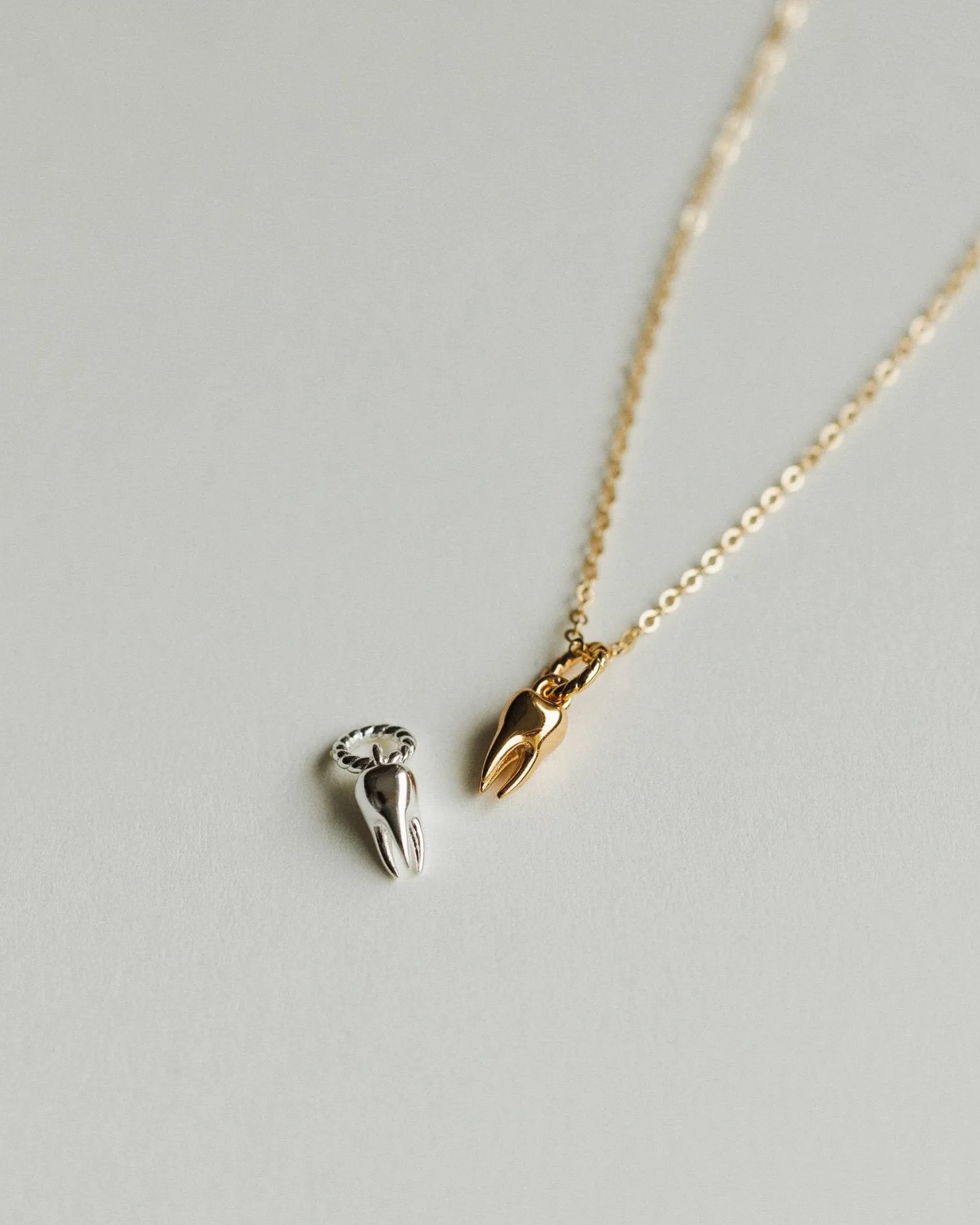 Tooth Charm sold by GLDN product image thumbnail 4