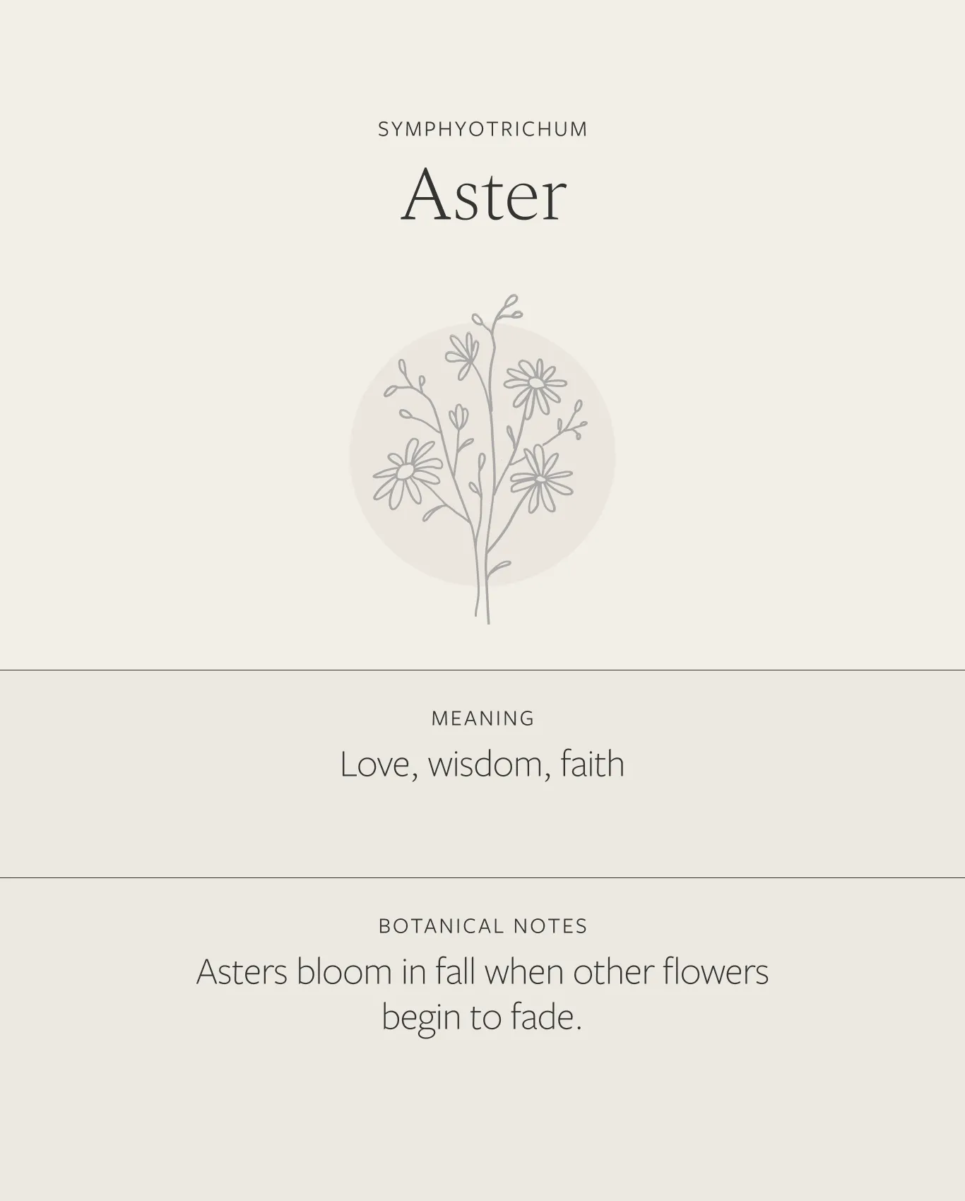 Aster Necklace sold by GLDN product image thumbnail 4