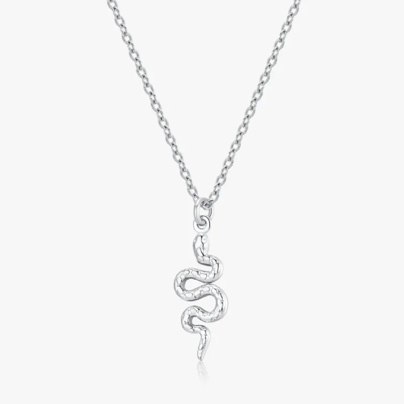 Snake Pendant Necklace in Silver sold by Flaire & Co.