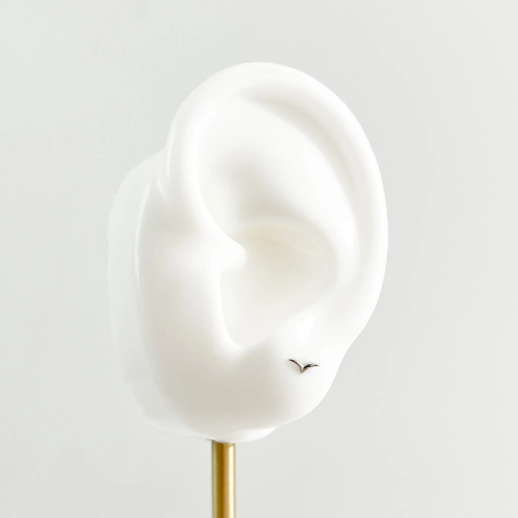 Micro Seagull Studs in Silver sold by Flaire & Co. product image thumbnail 2