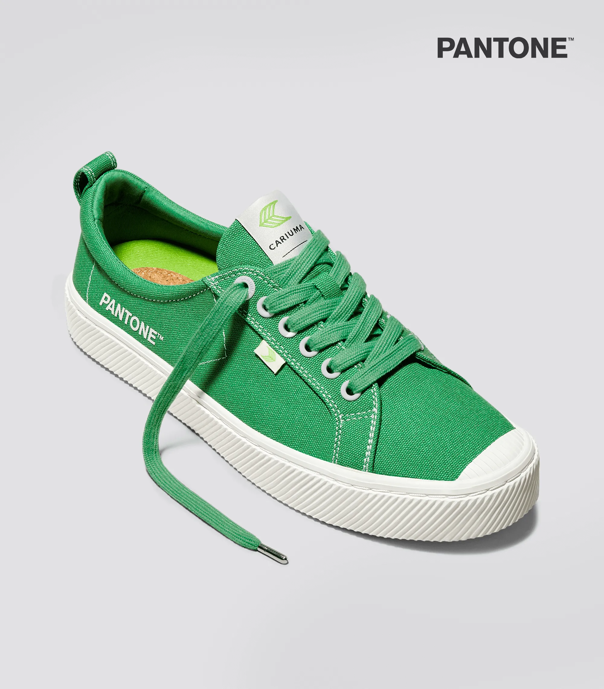 OCA Low Pantone Greenbriar Canvas Contrast Thread Sneaker Women sold by Cariuma product image thumbnail 2