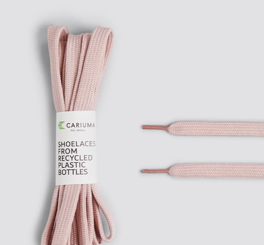Shoe Lace IBI Rose with Rose Tip sold by Cariuma