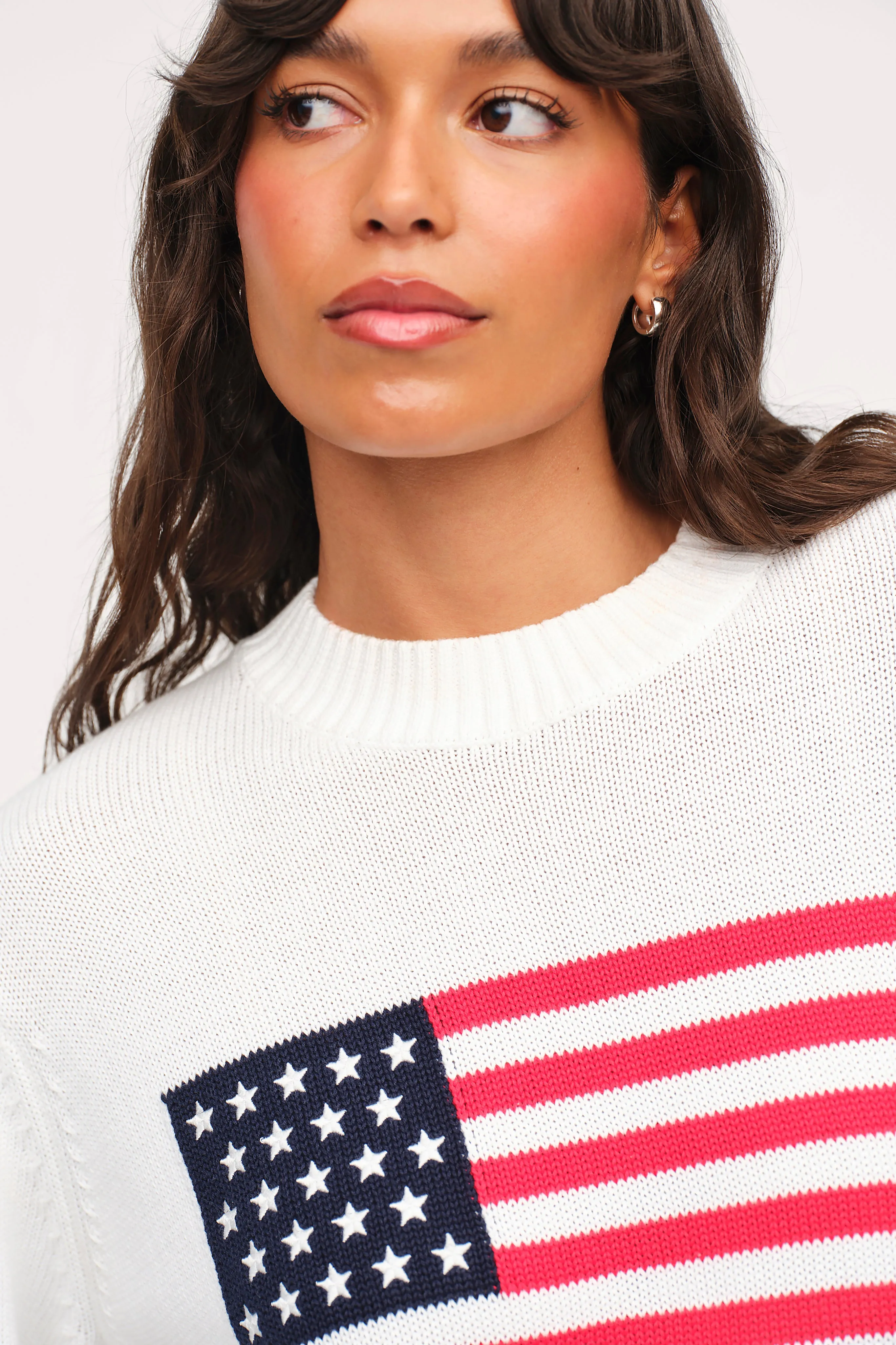 Glory Days Sweater | Flag sold by nuuds product image thumbnail 5