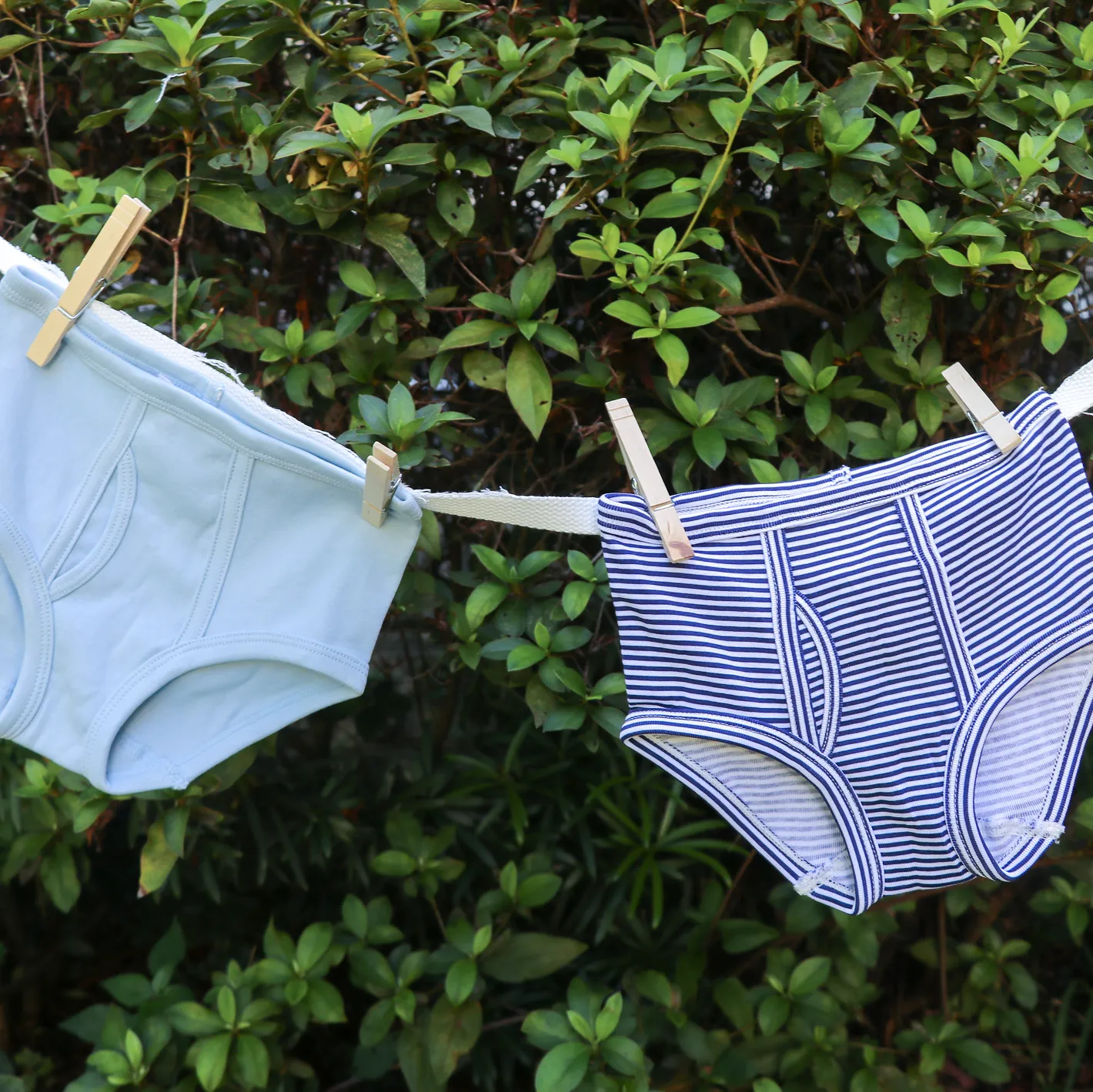 boys underwear 3-pack sold by minnow product image thumbnail 2