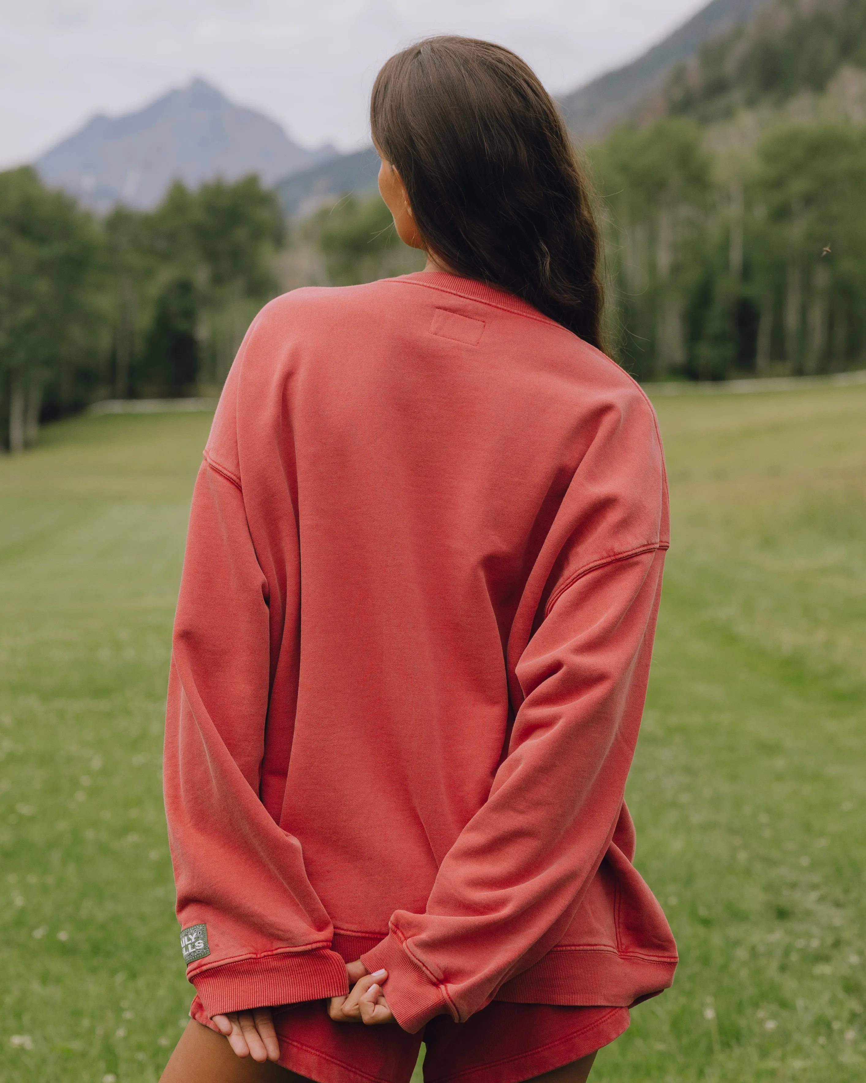 Unisex Oversized Crew - Sunbleached Vintage Red with Bandana Patch sold by Daily Drills product image thumbnail 2