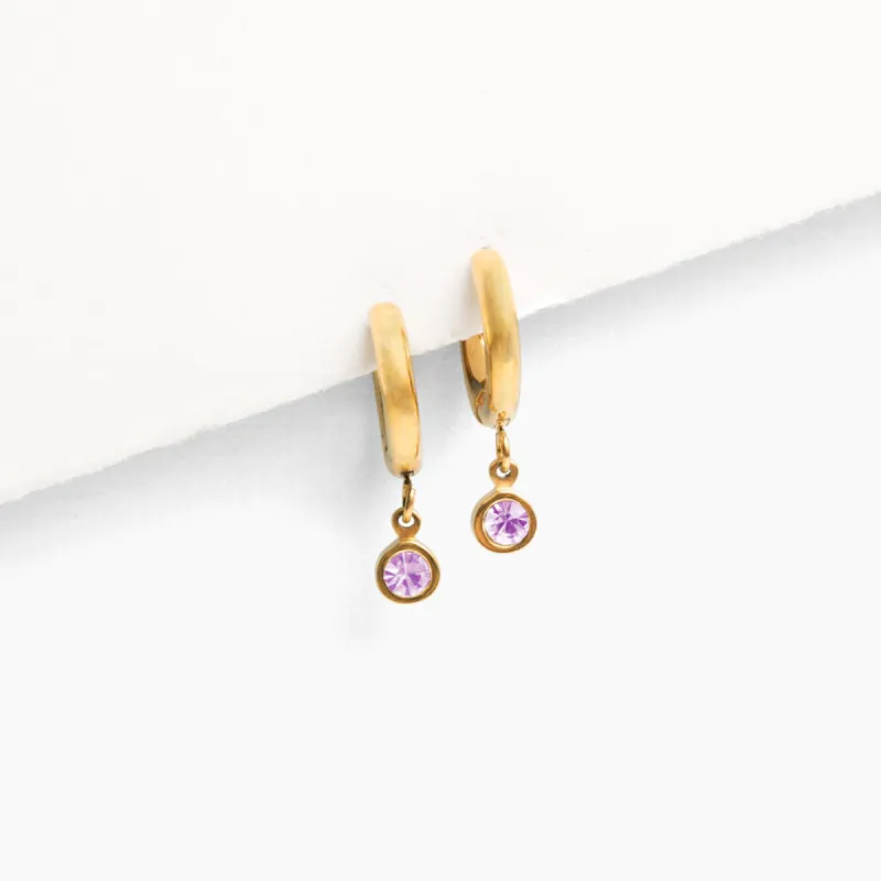 Birthstone Charm Hoop Earrings sold by Tini Lux