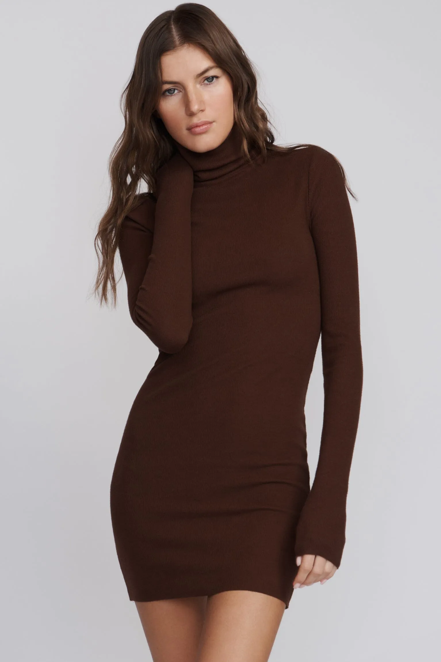 LONG SLEEVE TURTLENECK MINI DRESS sold by Eterne