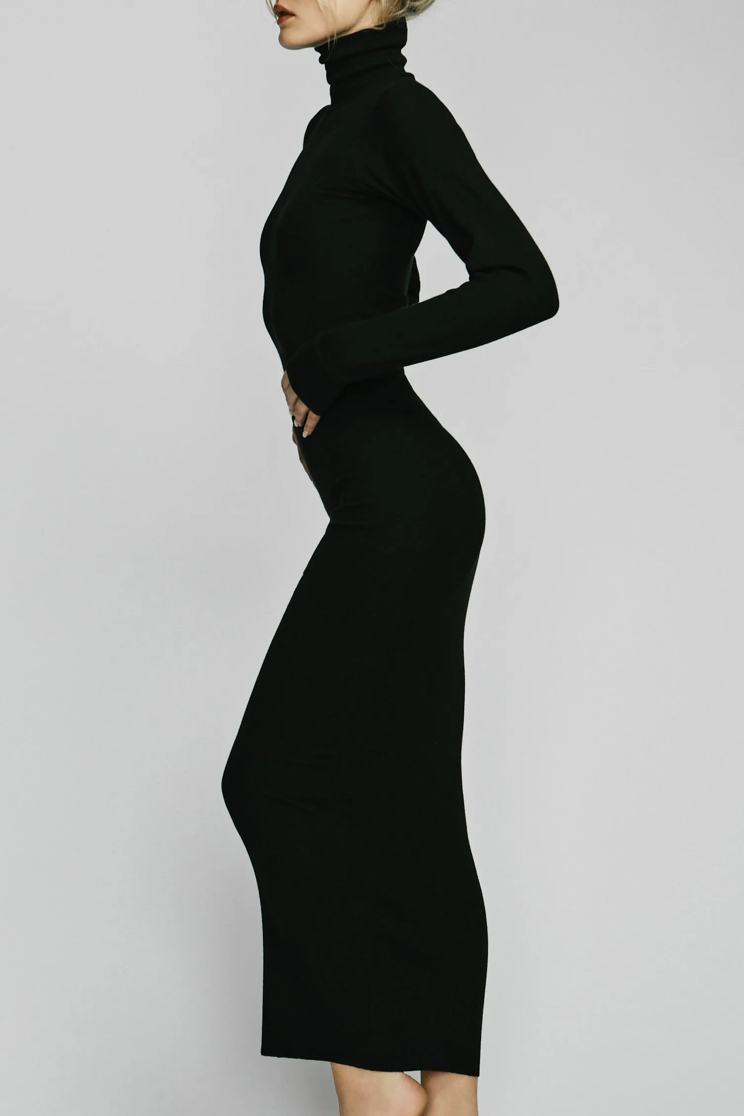 LONG SLEEVE TURTLENECK MAXI DRESS sold by Eterne product image thumbnail 3