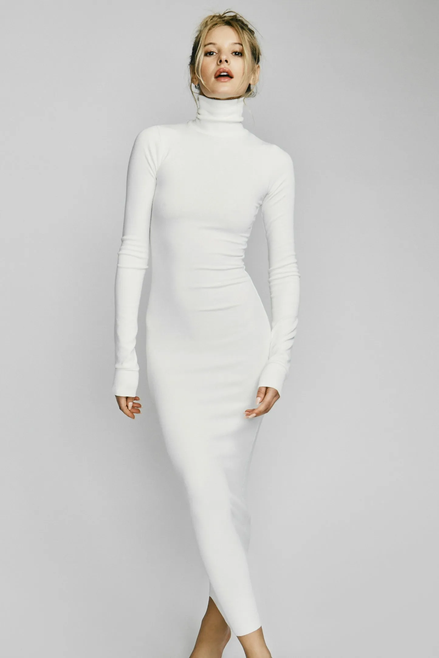 LONG SLEEVE TURTLENECK MAXI DRESS sold by Eterne