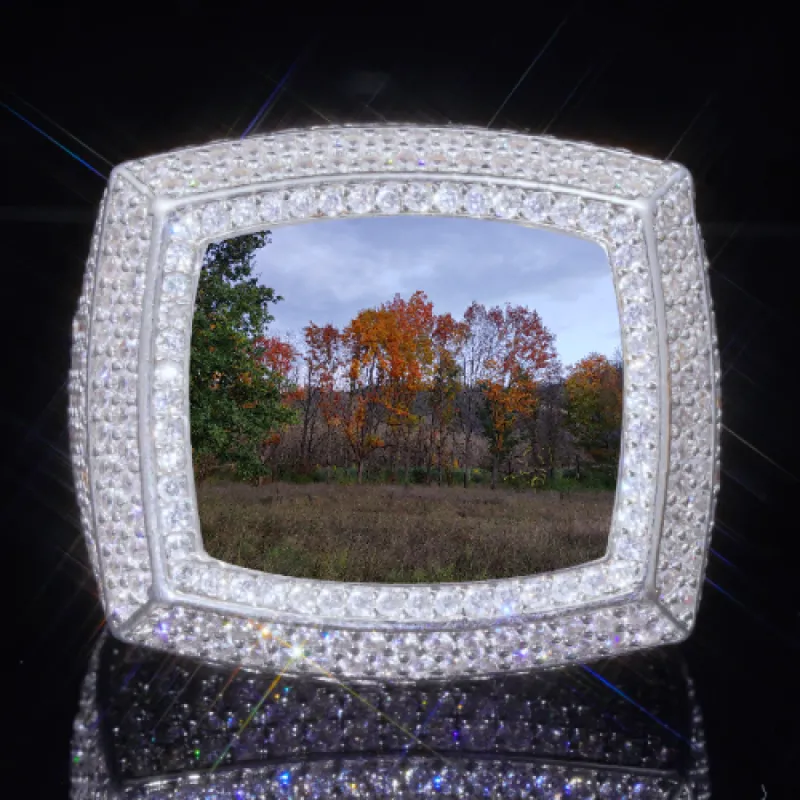 3D CUSTOM PICTURE ICED RING sold by The GUU Shop