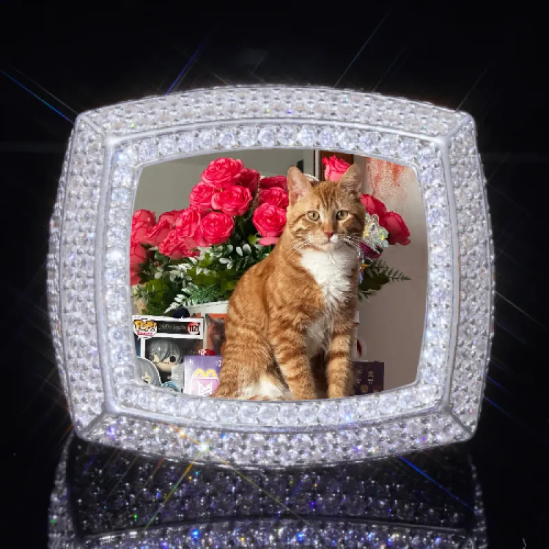 3D CUSTOM PICTURE ICED RING made by The GUU Shop