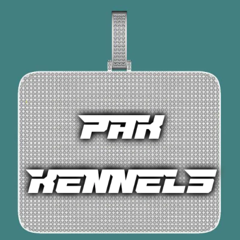 CUSTOM LETTER NECKLACE 3D BIG SQUARE sold by The GUU Shop