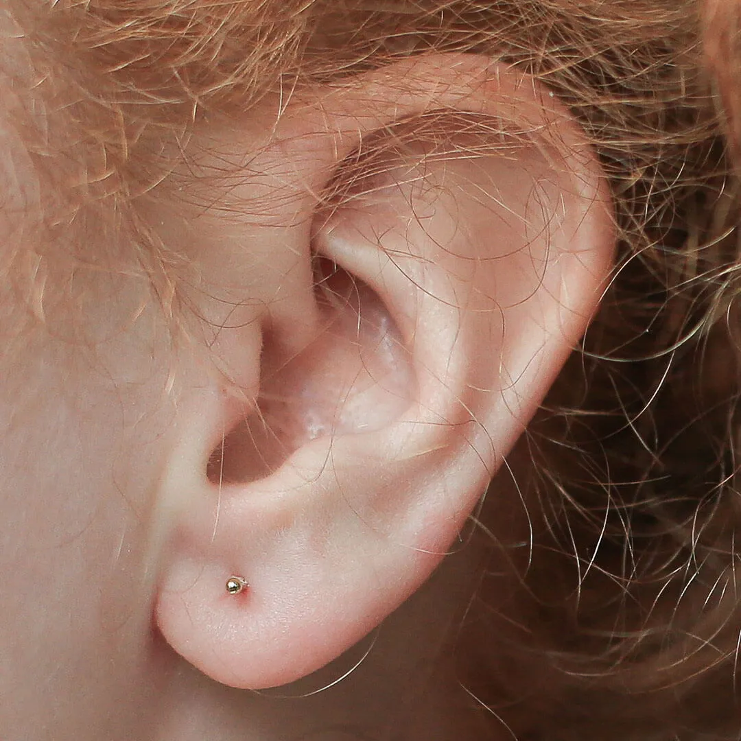 Sample Item: Tiny Secret Studs in Sterling Silver sold by Maison Miru product image thumbnail 2