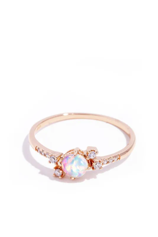 Rainbowfish sold by Oomiay