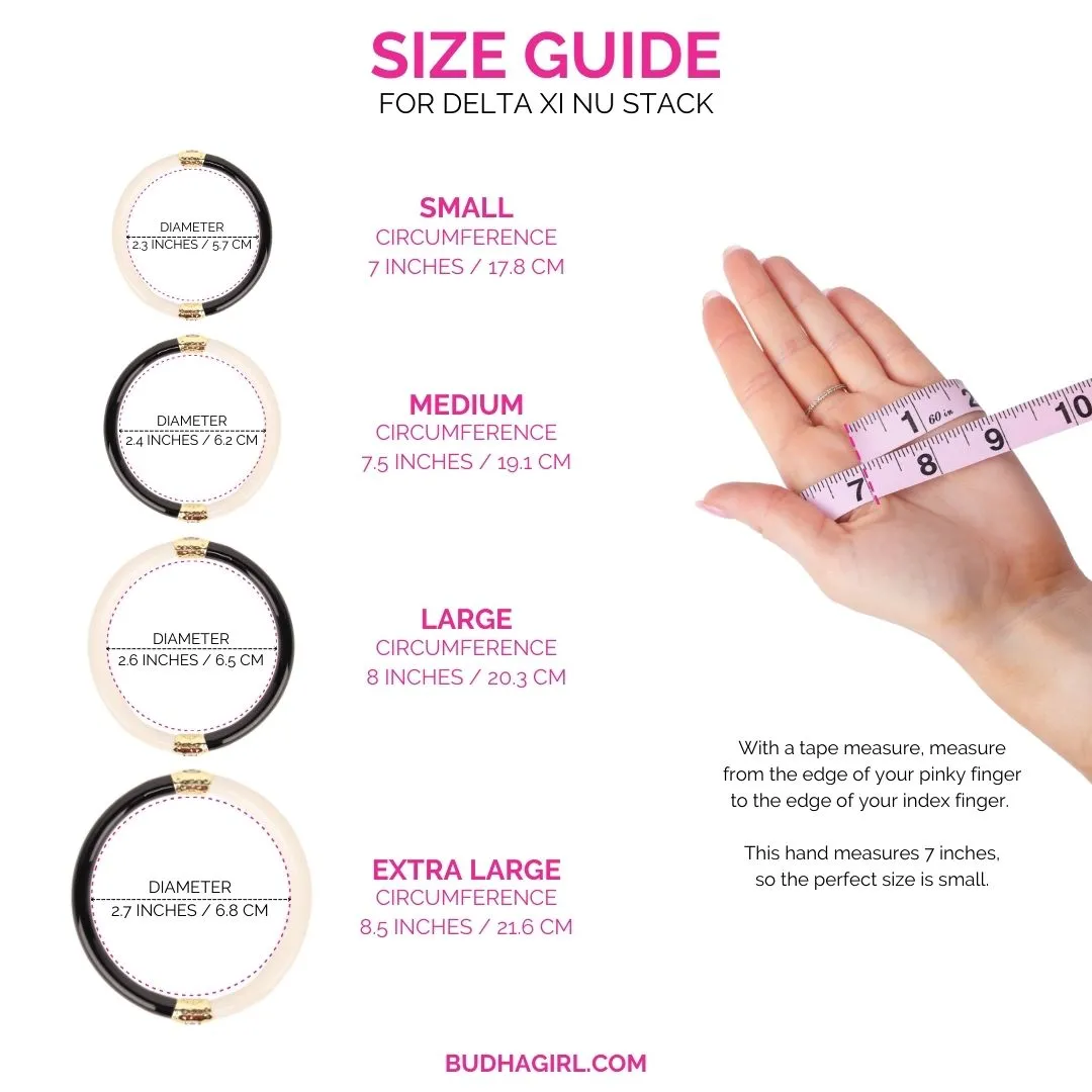 Delta Xi Nu Stack sold by BuDhaGirl product image thumbnail 3