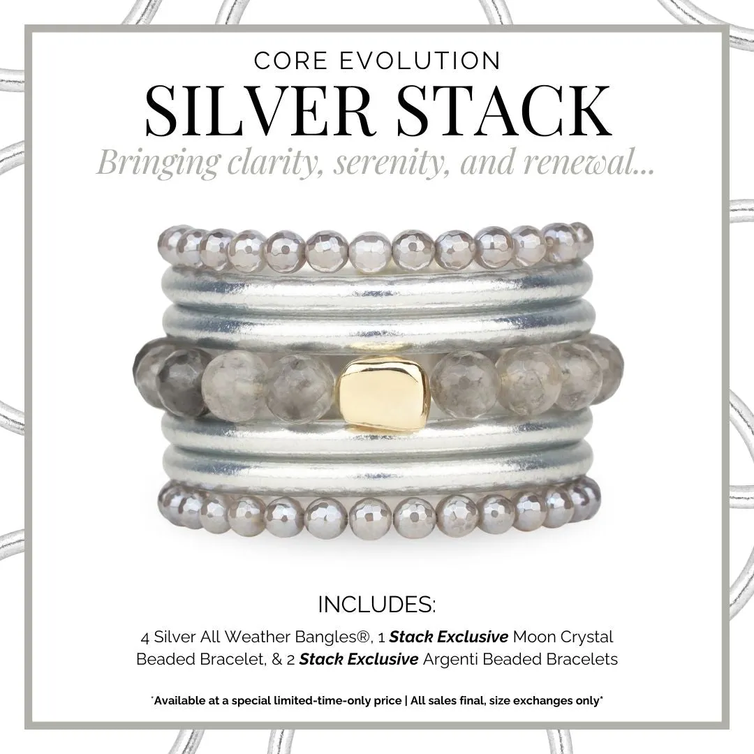 Evolution Stack - Silver sold by BuDhaGirl product image thumbnail 4