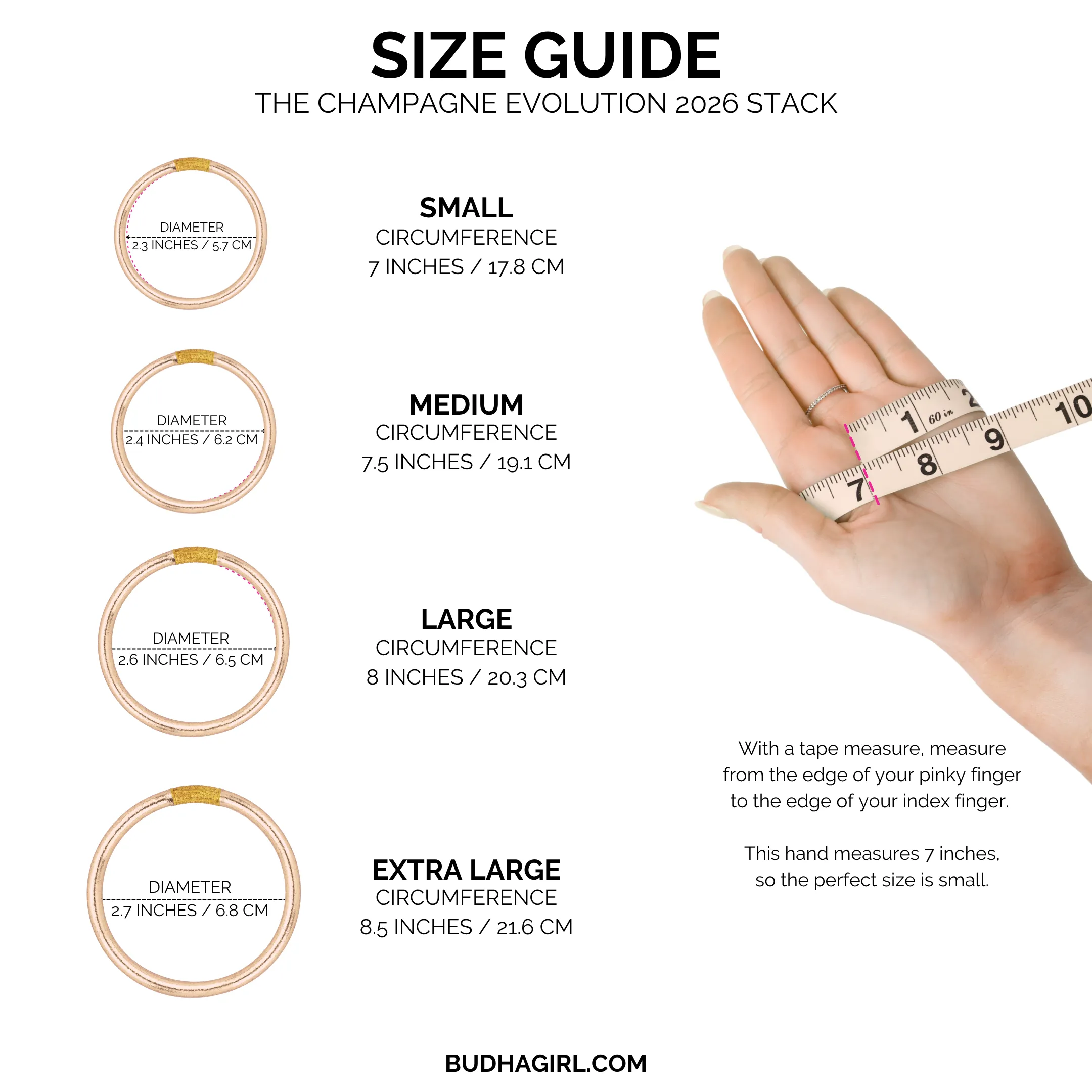 The Champagne Evolution 2026 Stack sold by BuDhaGirl product image thumbnail 3