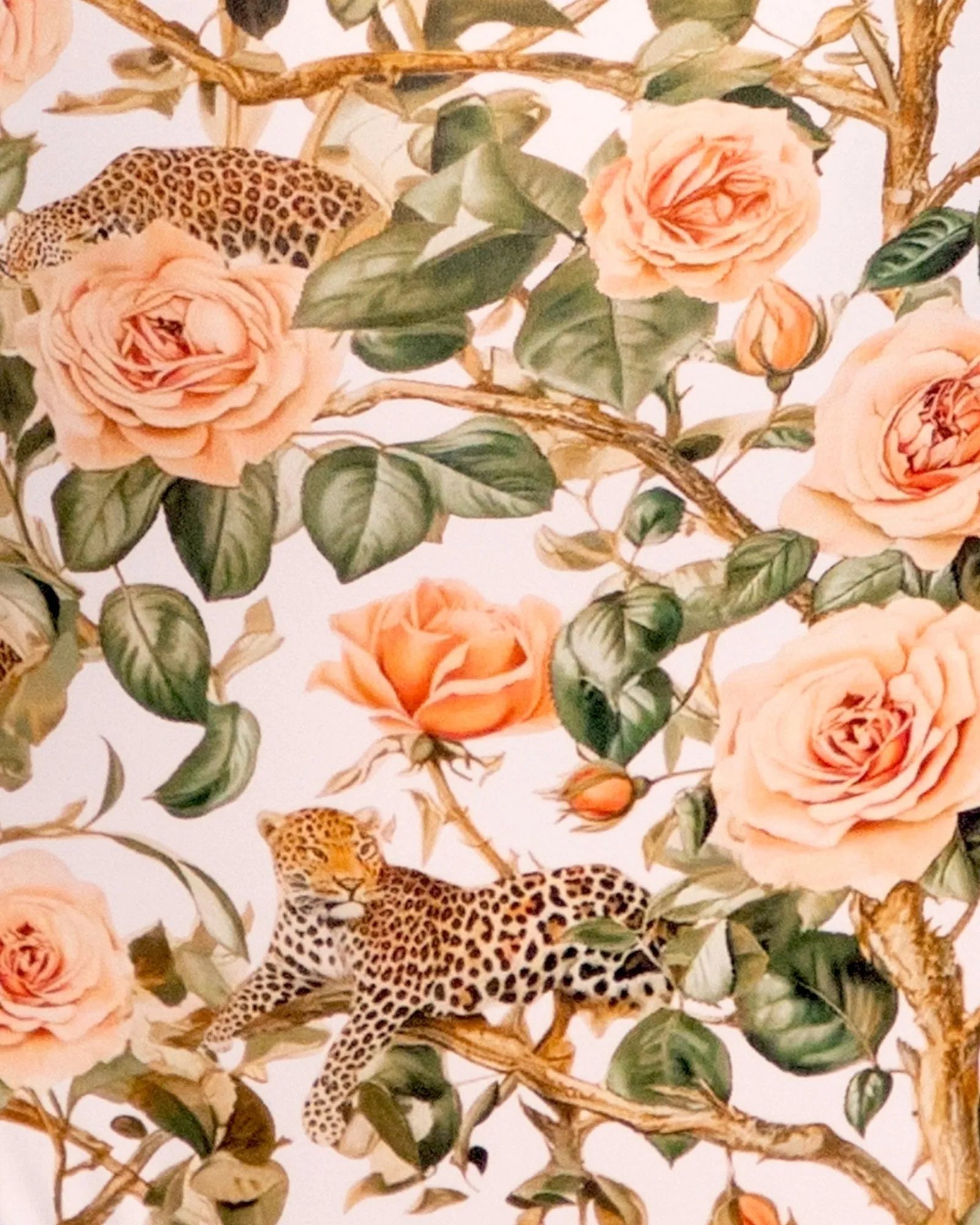 Sweetie - Contour Rose Leopard/Peach Blush sold by TA3 product image thumbnail 5