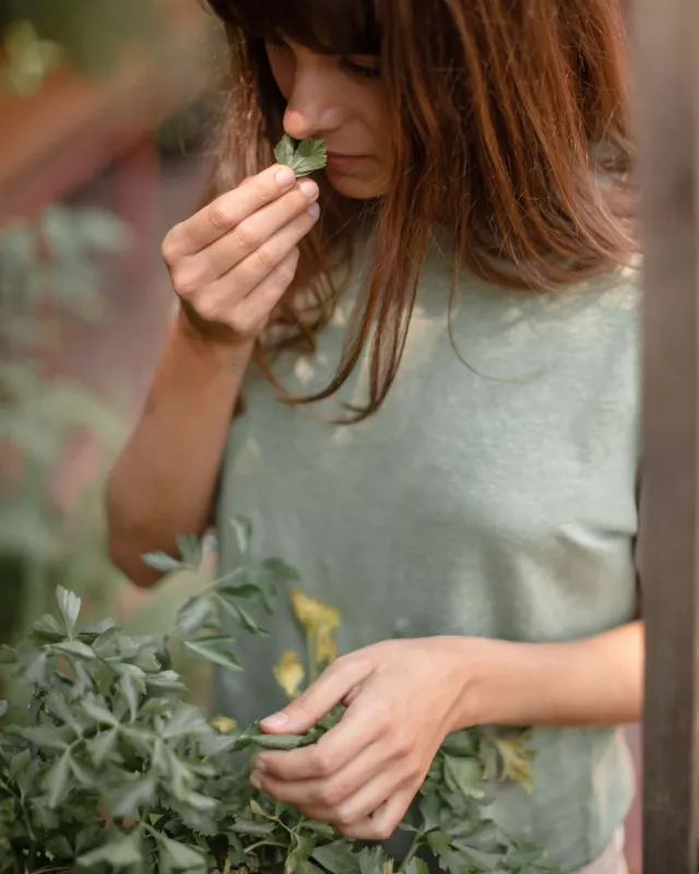 Sun Tee | Moss sold by Alex Crane