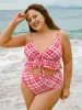Red Natural Waisted Plus Size Tankini Bottom sold by BERLOOK