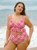 Red Natural Waisted Plus Size Tankini Bottom sold by BERLOOK