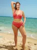 Red Jacquard Plus Size Bikini Bottom sold by BERLOOK