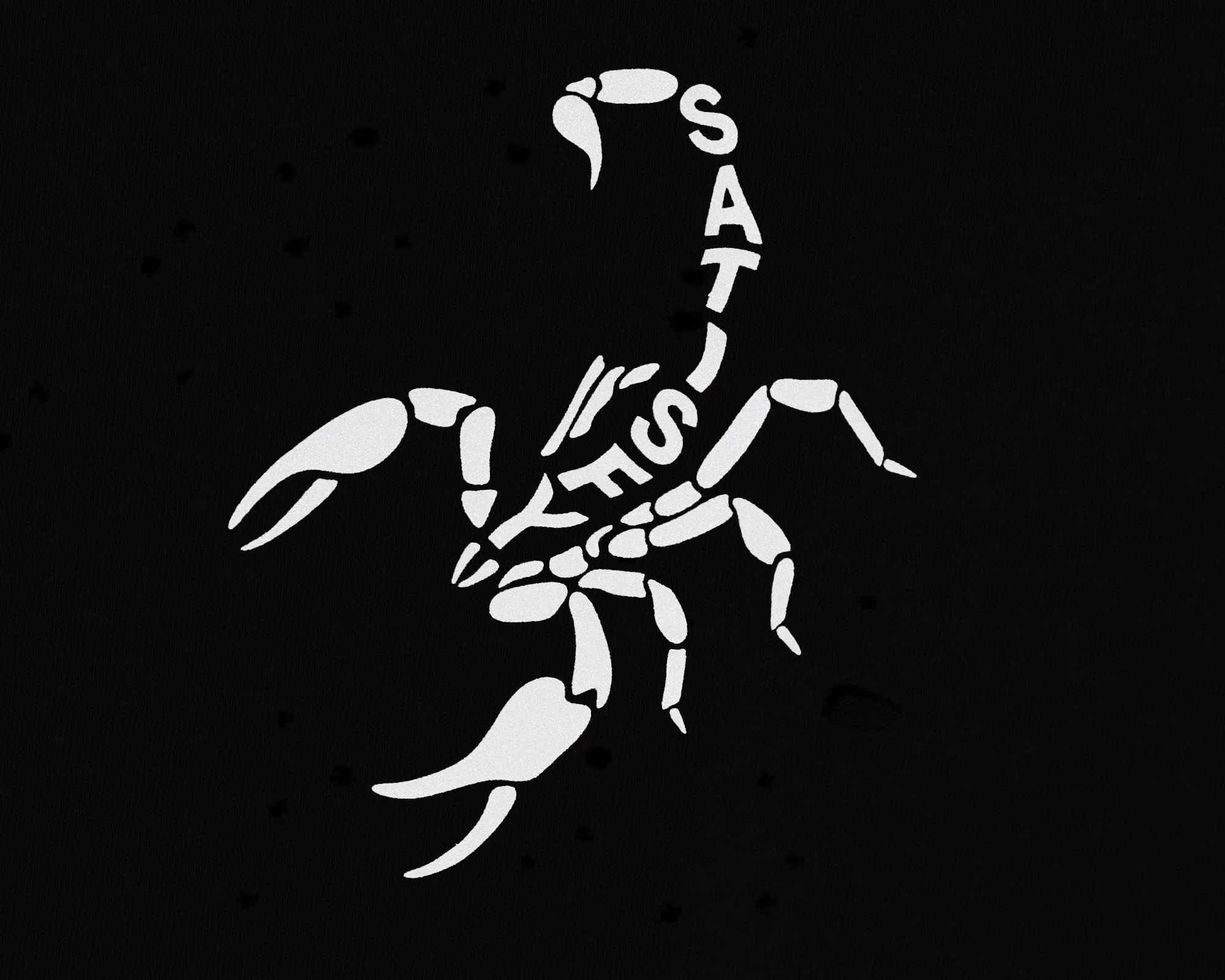 MothTech™ T-Shirt sold by Satisfy Running product image thumbnail 5