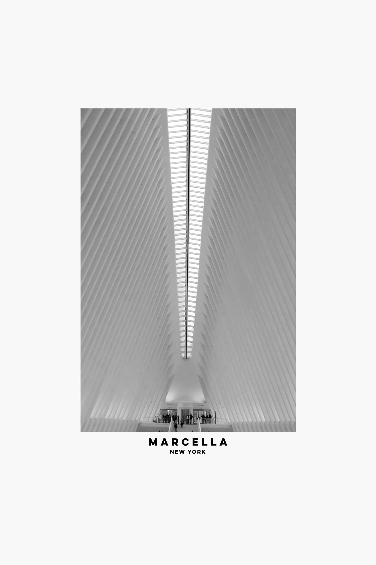 Oculus Graphic Tee sold by Marcella NYC product image thumbnail 5