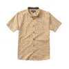 Scholar Oxford Short Sleeve Button Up Shirt - Boletes Sunbeam sold by Roark