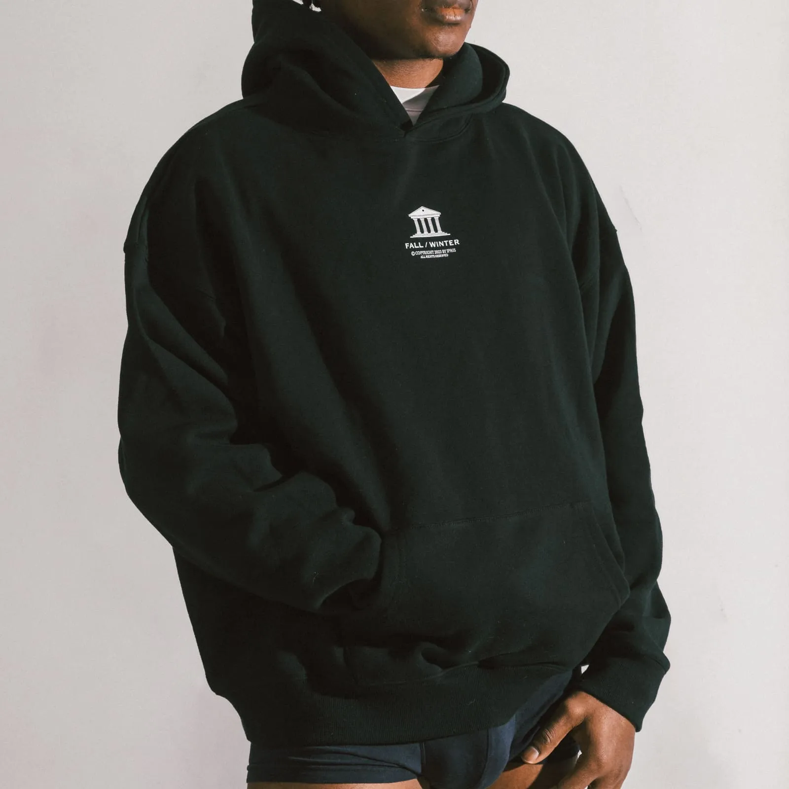 100% Cotton Everyday Fleece Hoodie sold by IPHIS