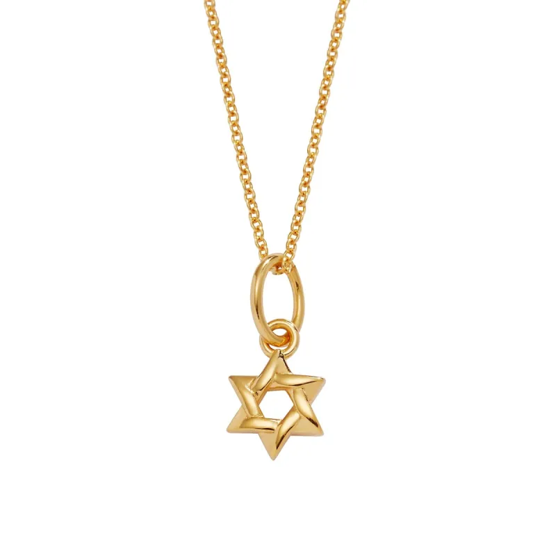 14k Gold Star Of David Necklace sold by Tiny Tags