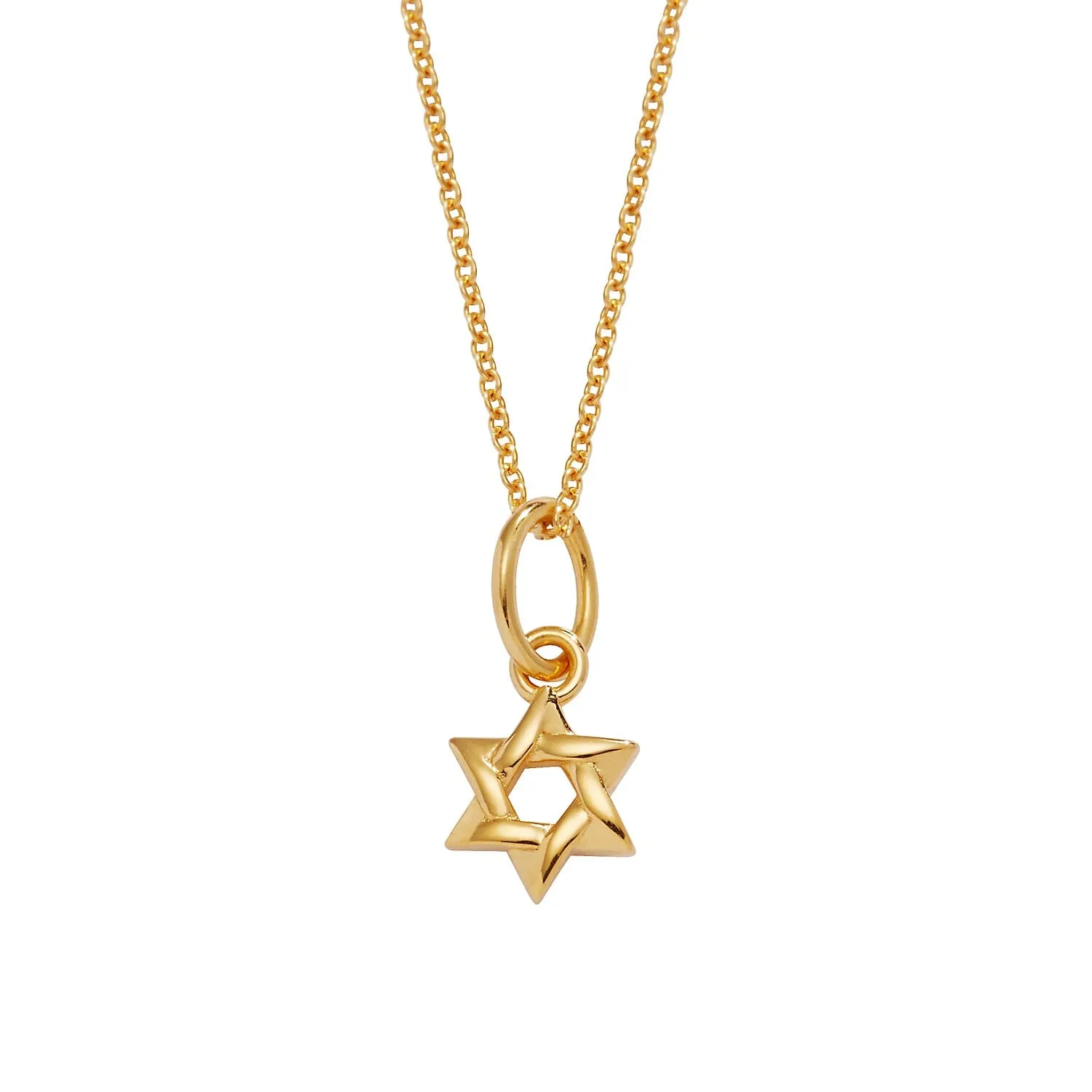 14k Gold Star Of David Necklace sold by Tiny Tags