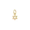 Pavé Star of David Charm sold by Tiny Tags