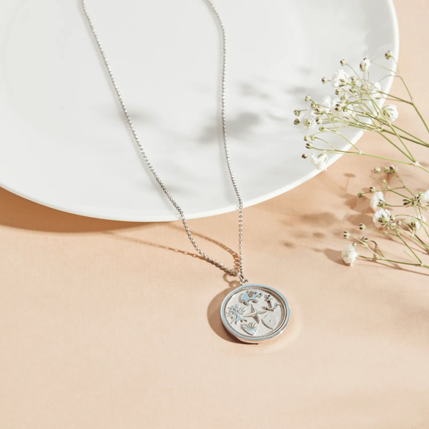Reflection Coin Pendant Necklace sold by Tiny Tags product image thumbnail 2