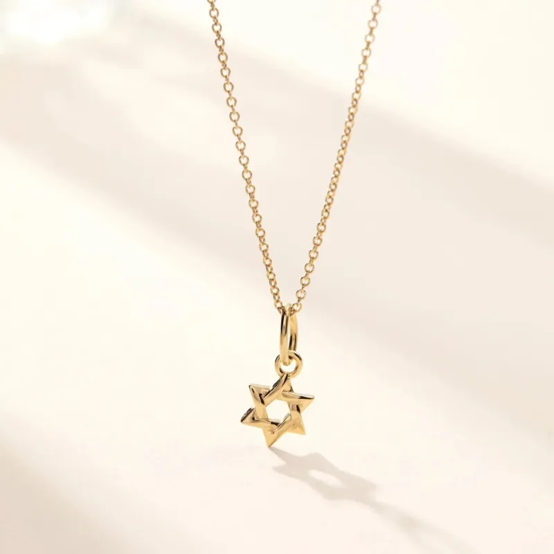 Star of David Necklace sold by Tiny Tags