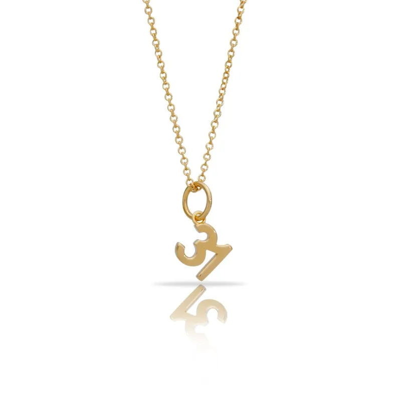 Laxachusetts Number Charm Necklace made by Tiny Tags