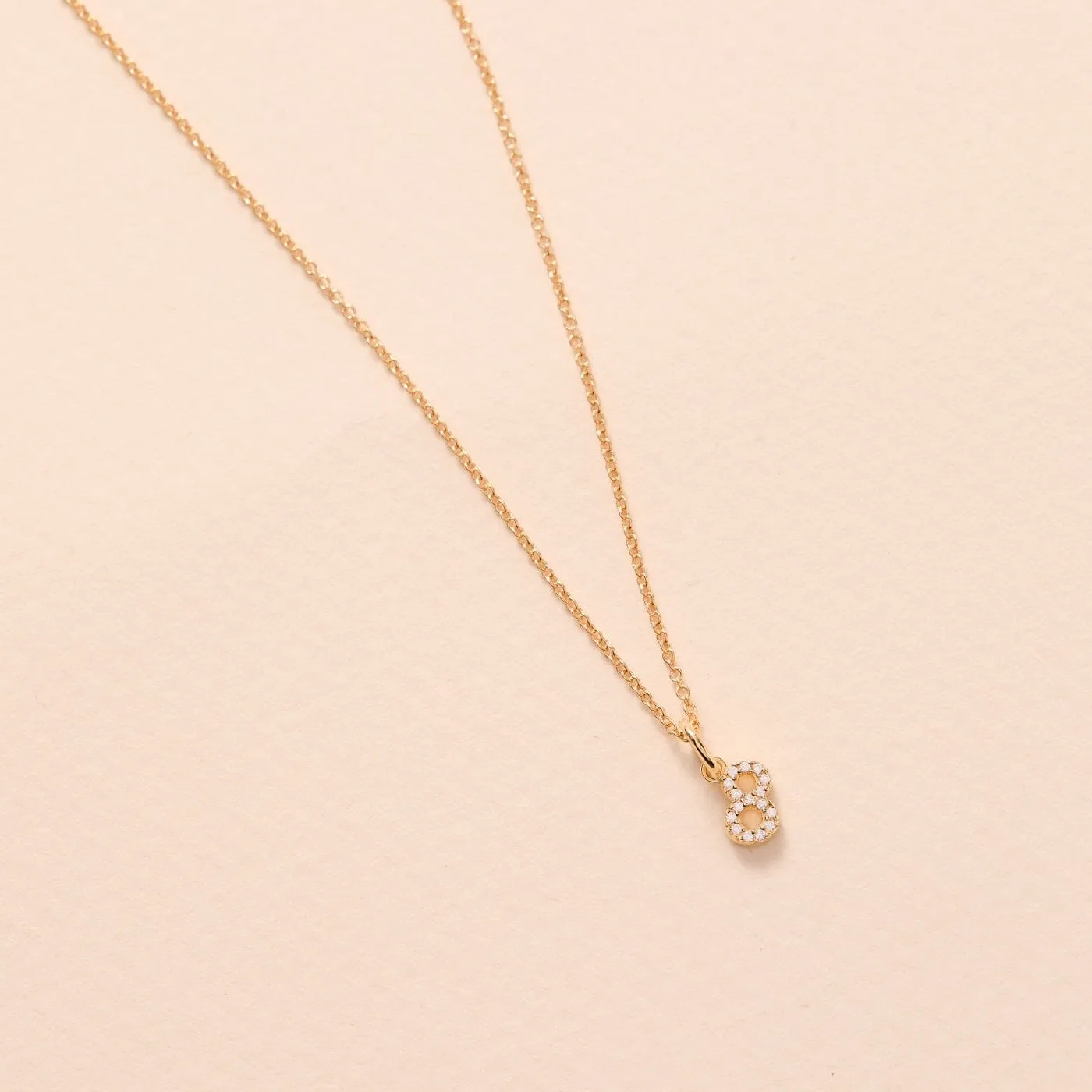 Laxachusetts Pavé Number Charm Necklace sold by Tiny Tags product image thumbnail 4
