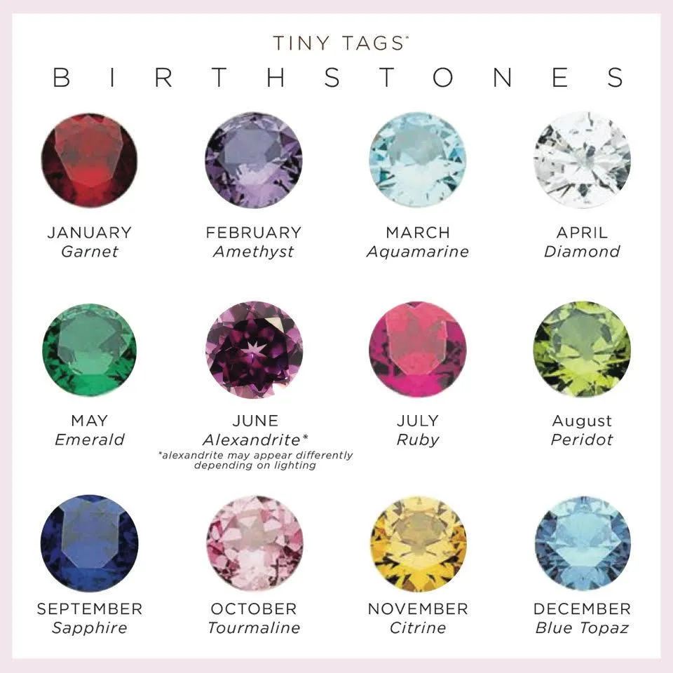 Sterling Silver Monogram Dog Tag Necklace With Birthstone sold by Tiny Tags product image thumbnail 2