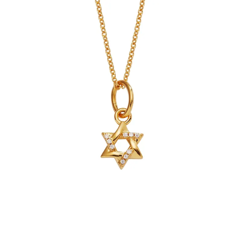 14k Gold Pavé Diamond Star of David Necklace sold by Tiny Tags