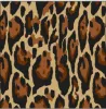 Gemma Print Long Sleeve Mock Neck Top – 10758 sold by IBKUL