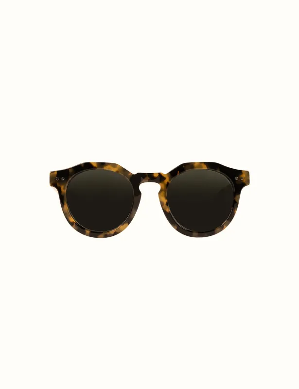 Seeker Unisex Sunglasses - Tortoise / Green sold by Duvin Design