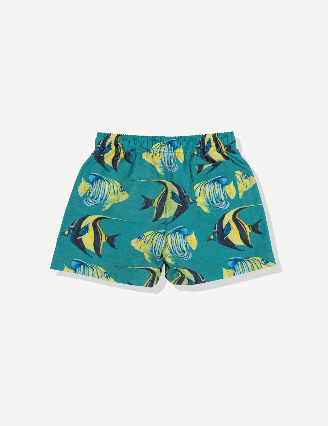 Aquarium Swim Short - Boys sold by Duvin Design product image thumbnail 2