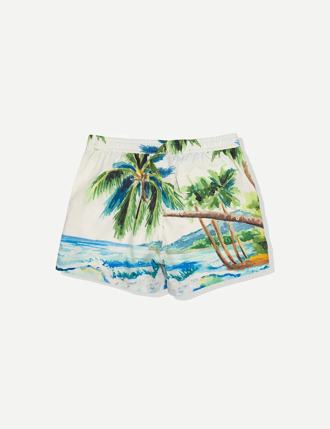 Postcard Swim Short sold by Duvin Design product image thumbnail 2